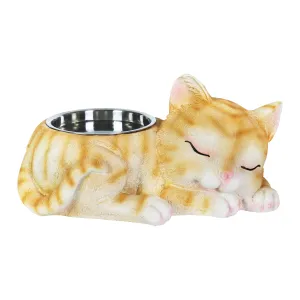 Cat Bowl with Stainless Bowl Insert, 12 by 6 Inches