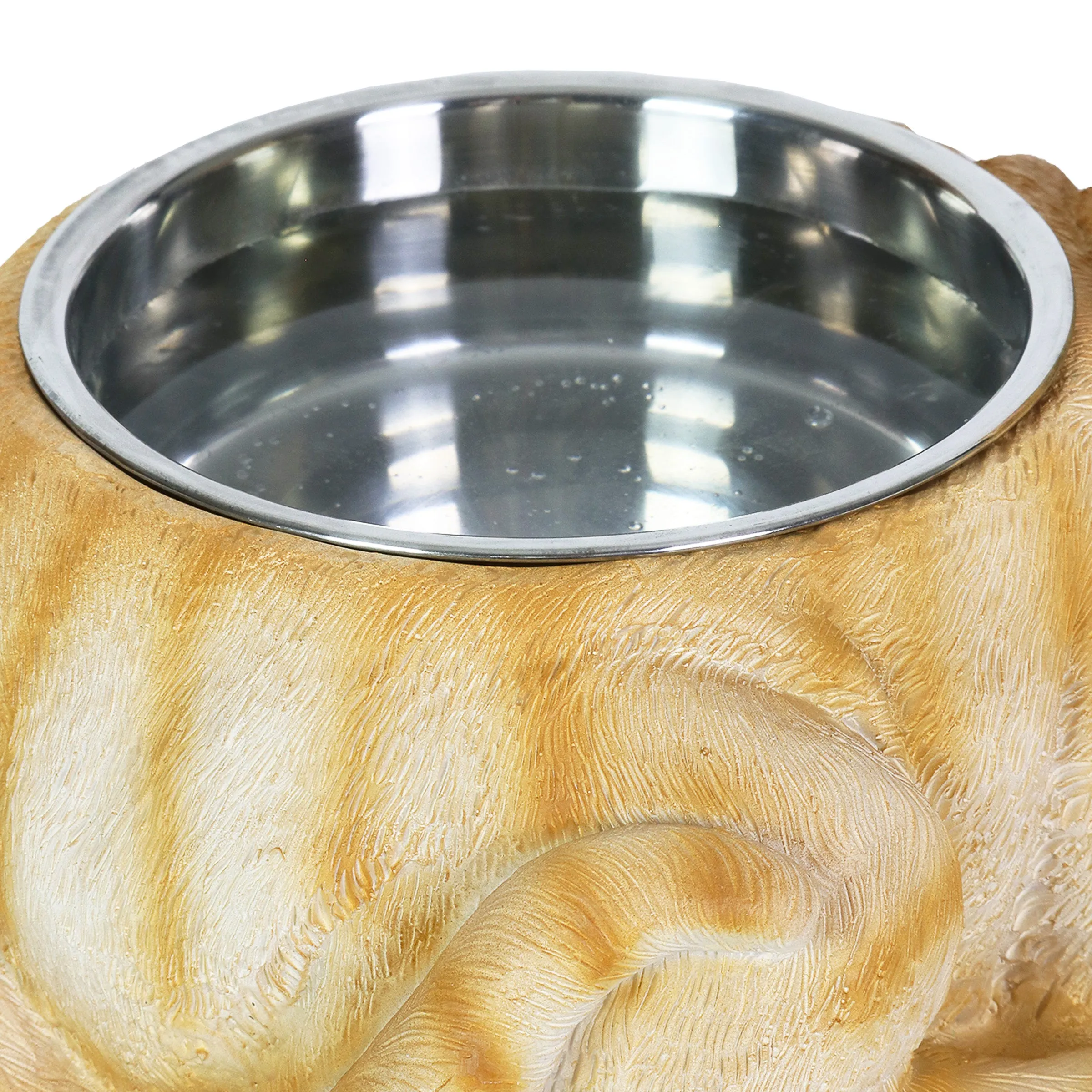 Cat Bowl with Stainless Bowl Insert, 12 by 6 Inches