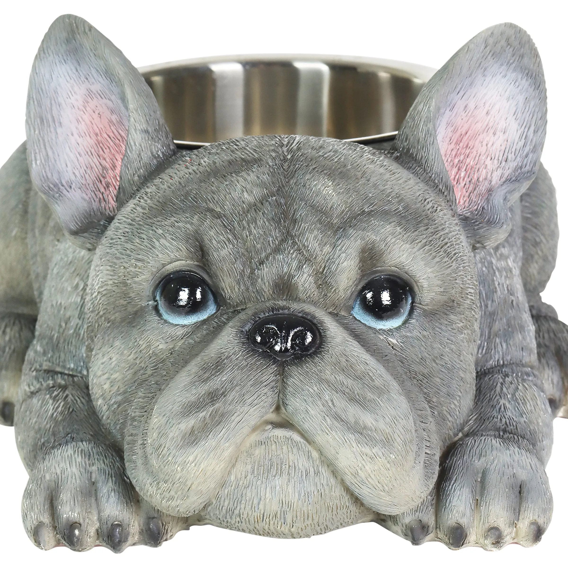 Grey French Bulldog Bowl with Stainless Bowl Insert, 12 by 6 Inches