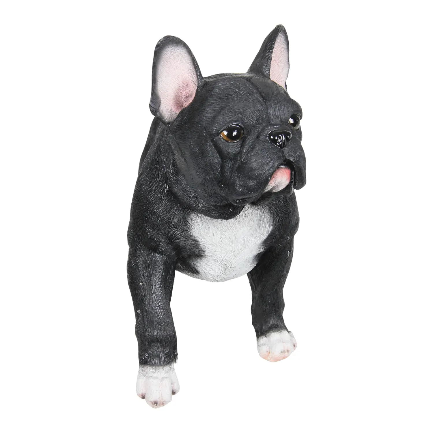 Hand Painted Black French Bulldog Statuary, 12 Inch