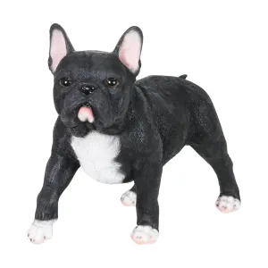 Hand Painted Black French Bulldog Statuary, 12 Inch