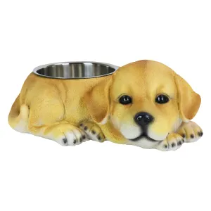 Labrador Bowl with Stainless Bowl Insert, 14 by 5.5 Inches