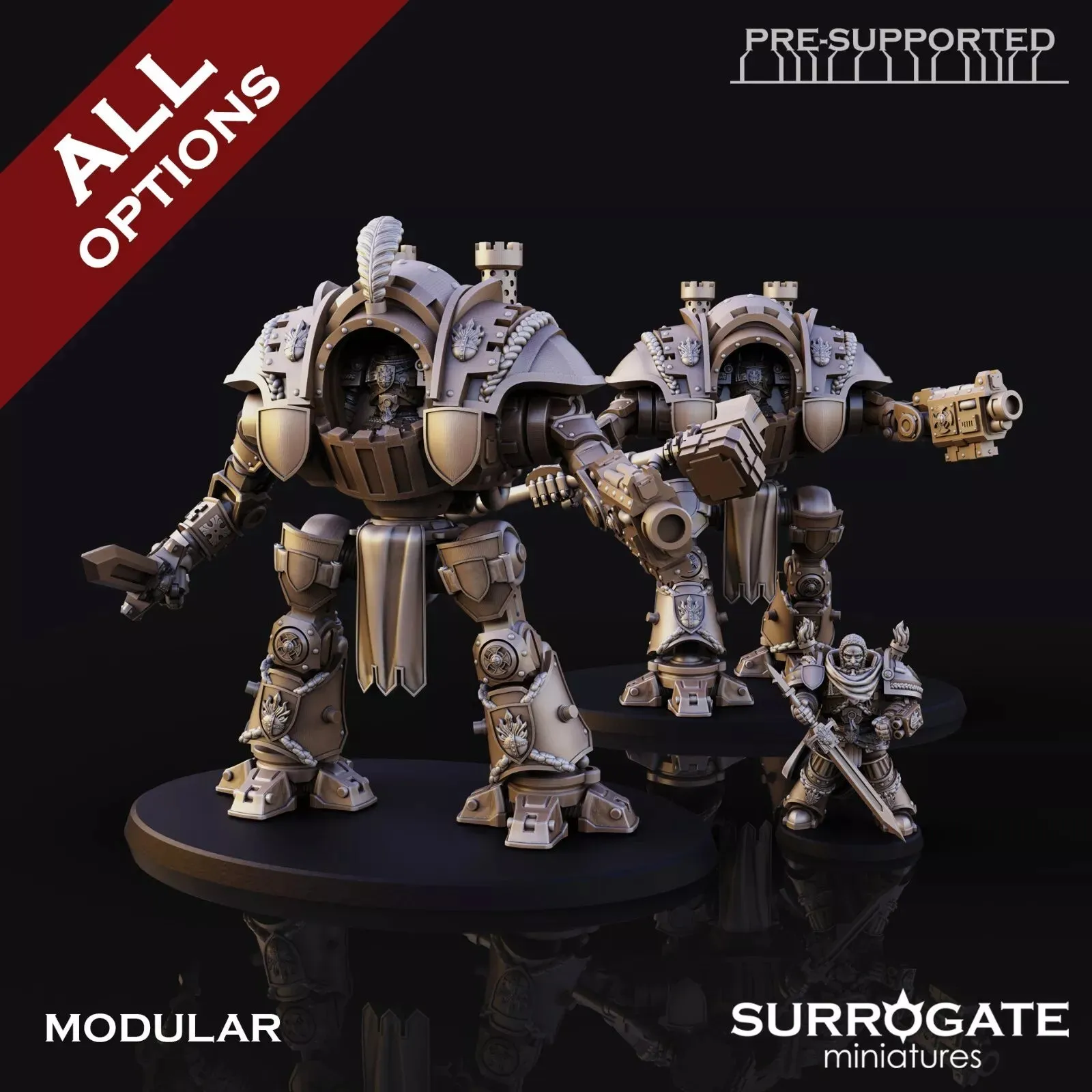 Silver Paladins Golgoth, Surrogate Miniatures | 1 Man Unit