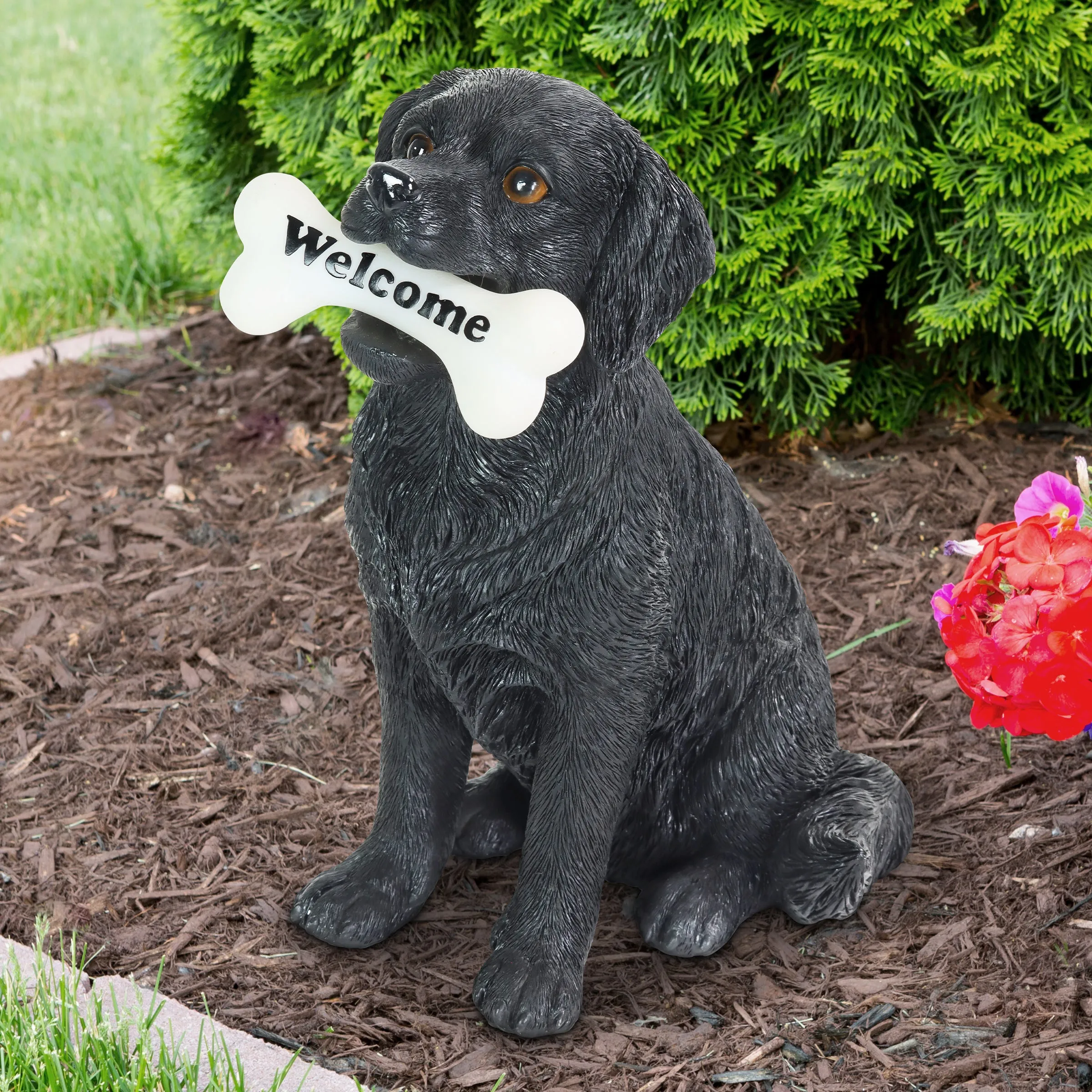 Solar Black Labrador Retriever Dog with LED Welcome Bone Garden Statuary, 14 Inch tall