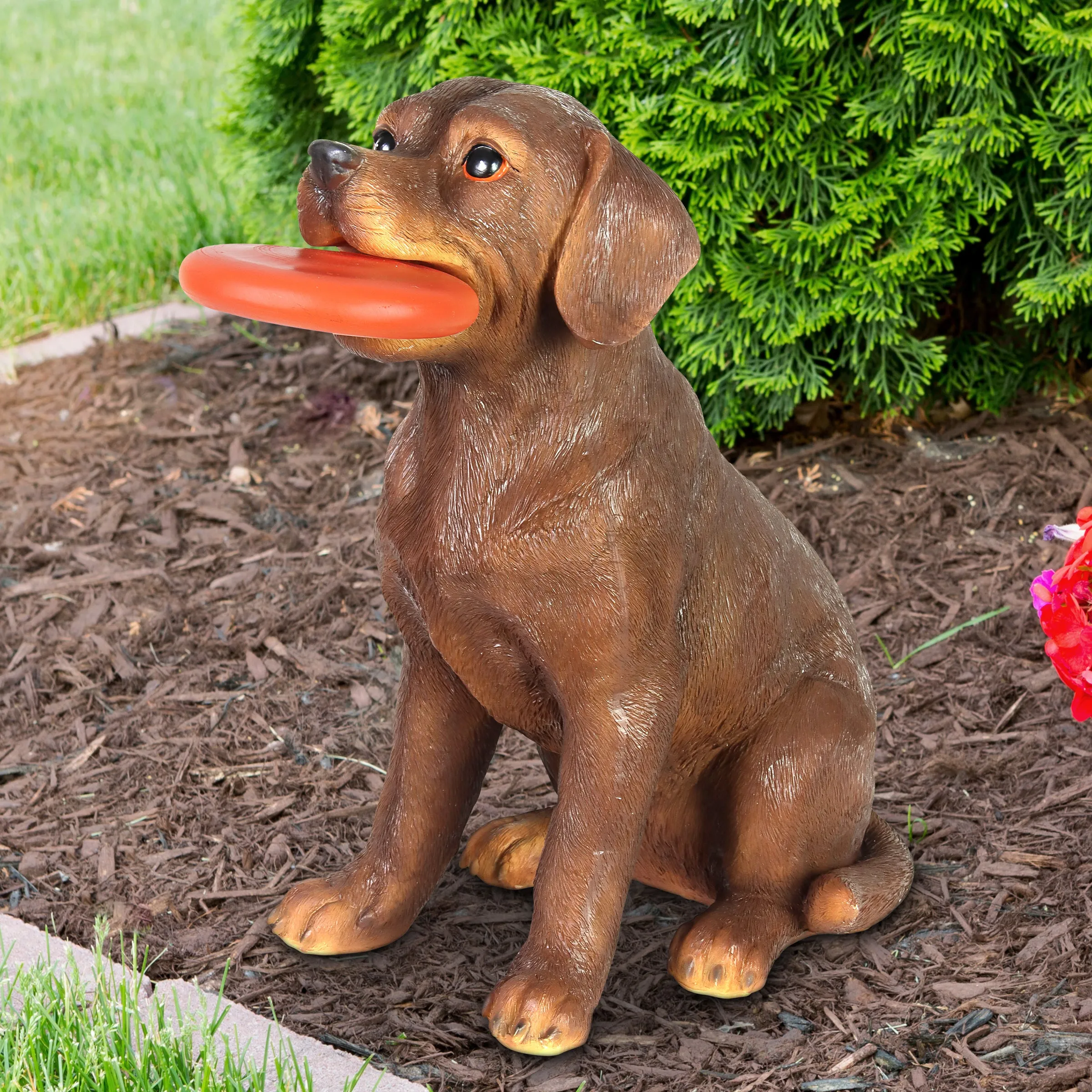 Solar Chocolate Labrador Retriever Dog with LED Frisbee Garden Statuary, 14 Inch tall