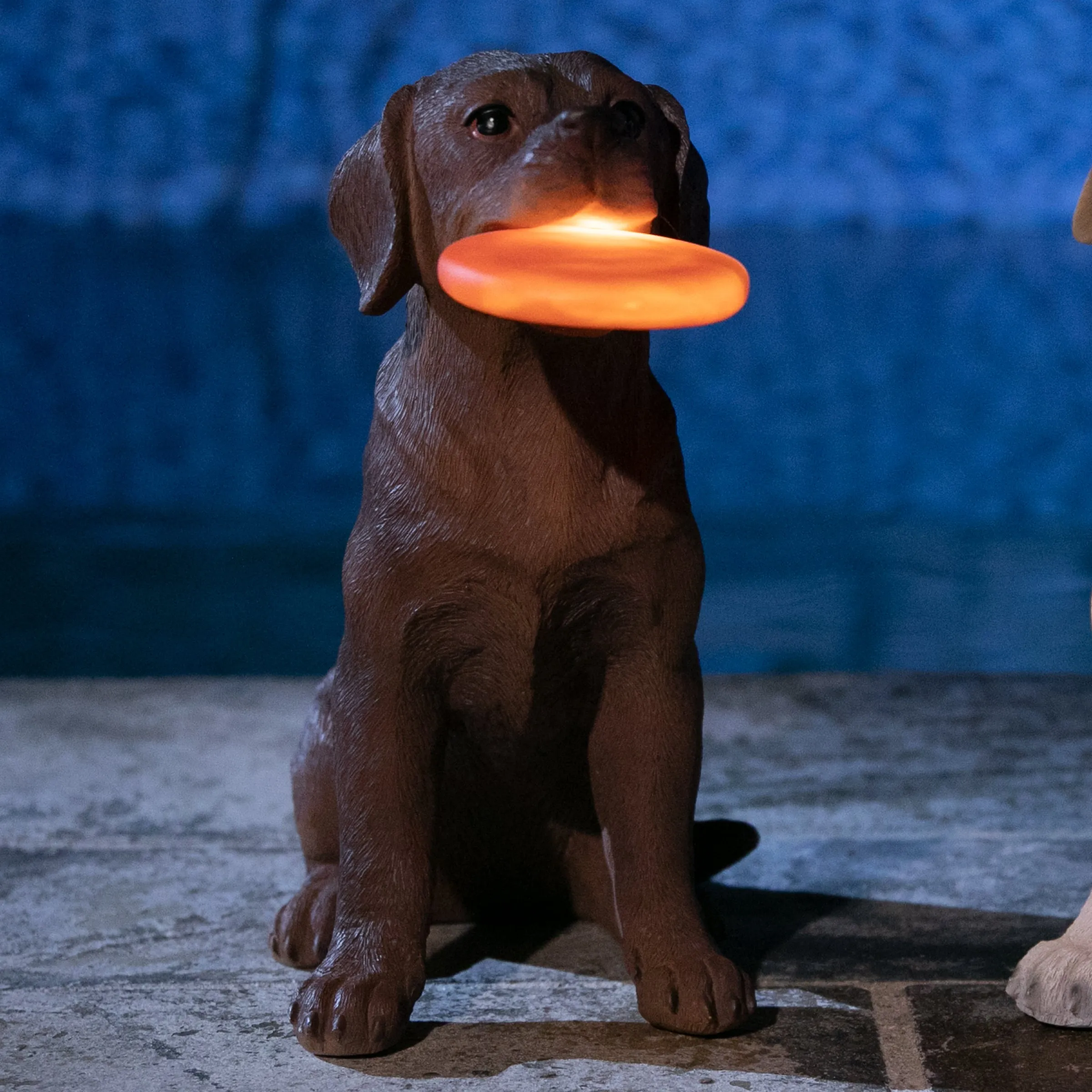 Solar Chocolate Labrador Retriever Dog with LED Frisbee Garden Statuary, 14 Inch tall