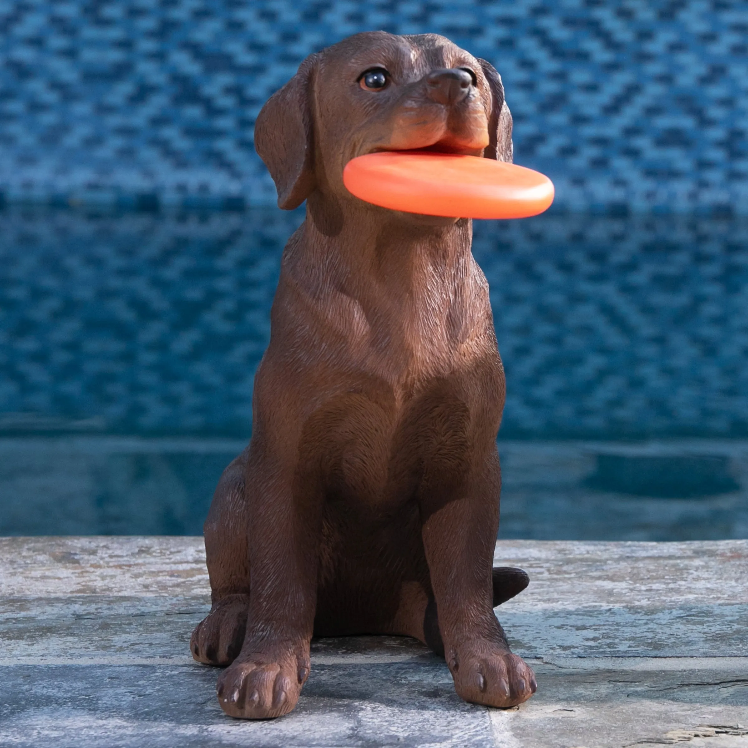 Solar Chocolate Labrador Retriever Dog with LED Frisbee Garden Statuary, 14 Inch tall