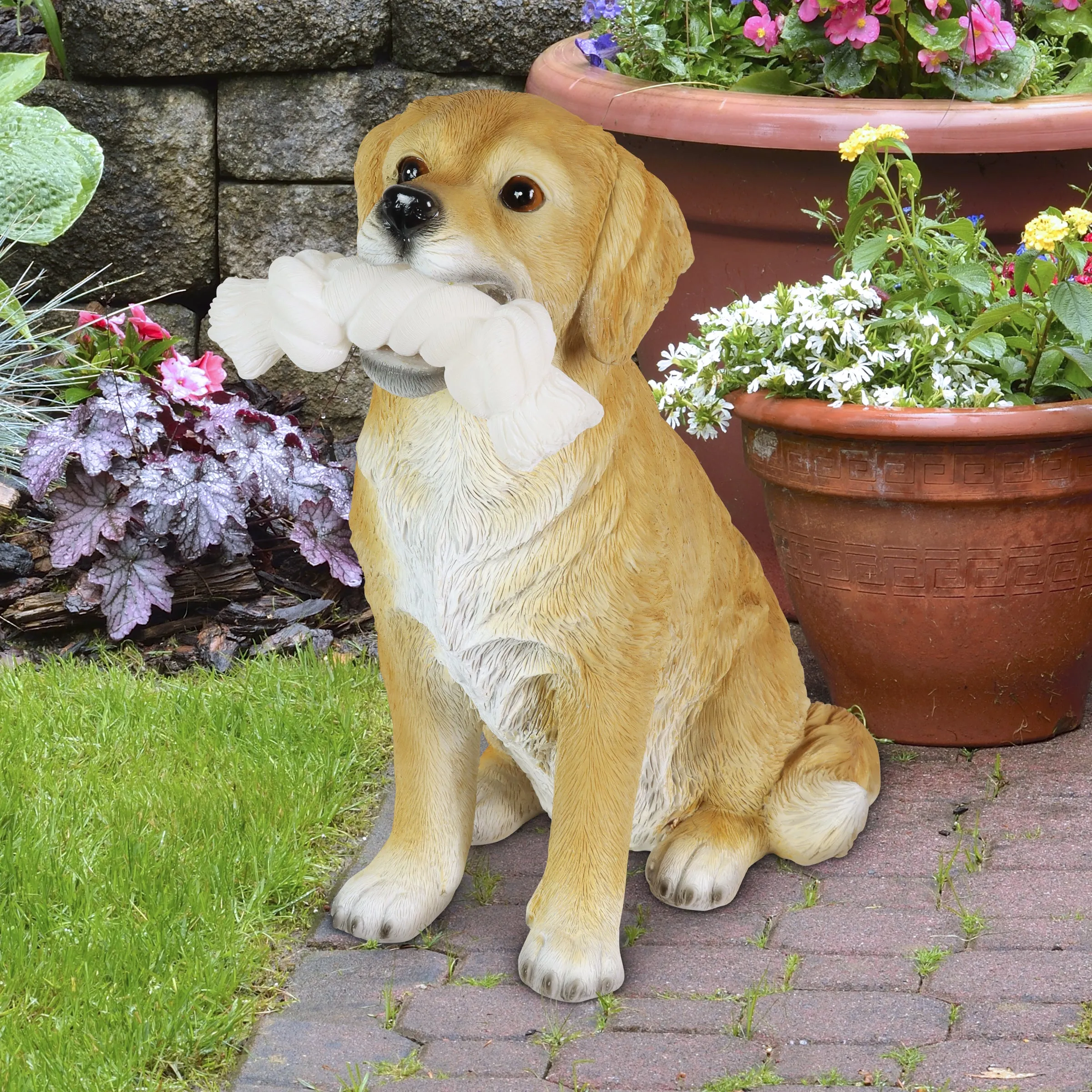 Solar Golden Retriever with LED Rope Toy Statuary, 8 by 14 Inches