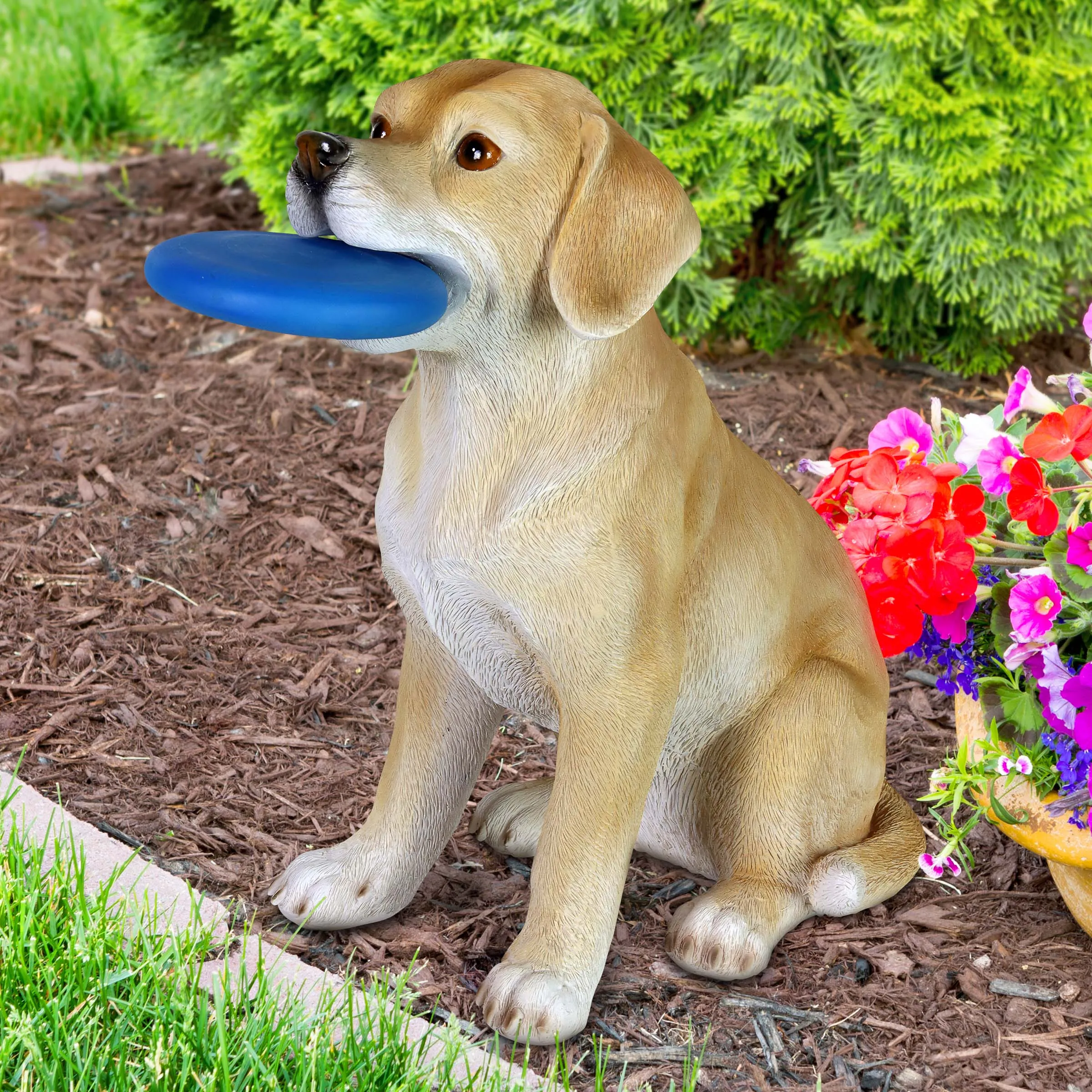 Solar Labrador Retriever Dog with LED Frisbee Garden Statuary, 14 Inch tall